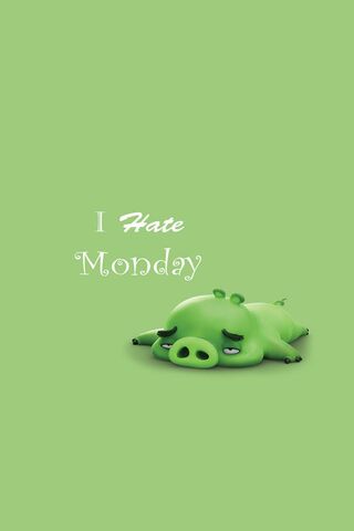 Monday Blues: The Strug..