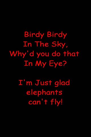 Skyward Whimsy: The Birdy Birdy Rhyme