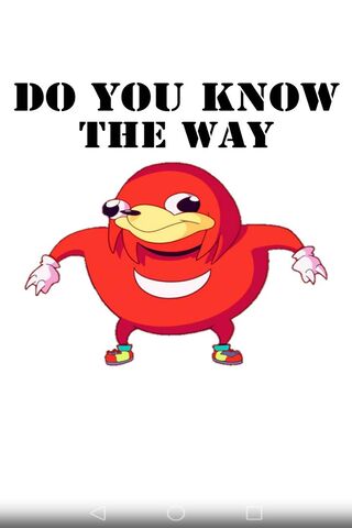 The Quest for Direction: Knuckles' Adventure