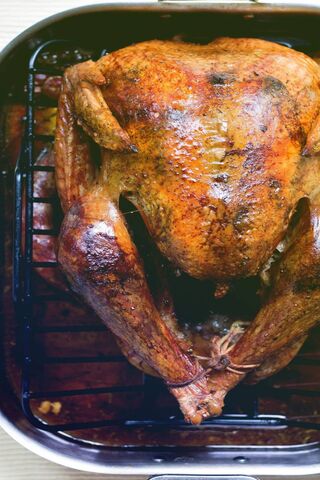 Golden Delight: The Perfect Roast Turkey