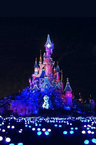 Enchanted Winter Wonder..