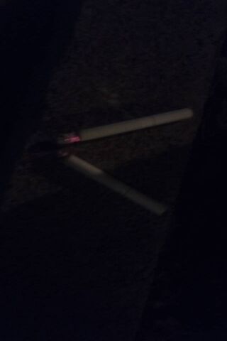 Kral's Nighttime Glow: A Mysterious Encounter 🌙✨