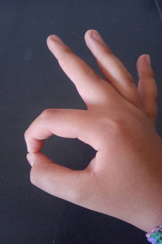 The Perfect Gesture: Ni..