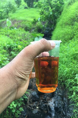 Sips of Serenity 🍃🥤