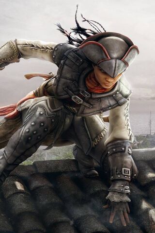 Leap of Shadows: The Assassin's Journey