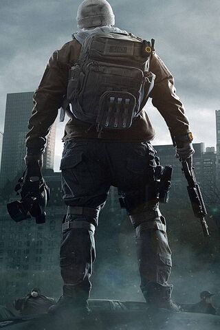 Survivor's Stand: The Division Chronicles