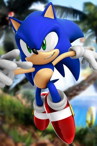 Sonic's Speedy Adventur..
