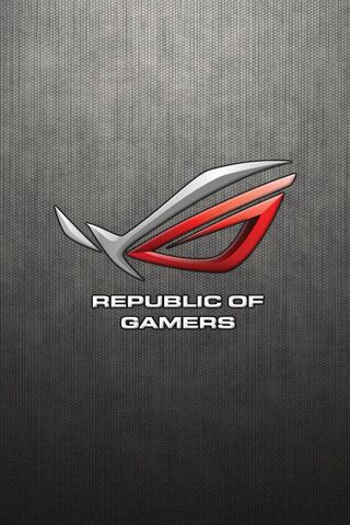 Republic Of Gamers