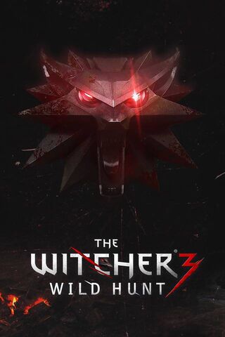 The Legendary Wolf: A Glimpse into The Witcher 3 🌌🐺