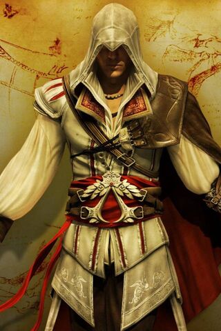 The Silent Guardian: A Glimpse into the Assassin's World