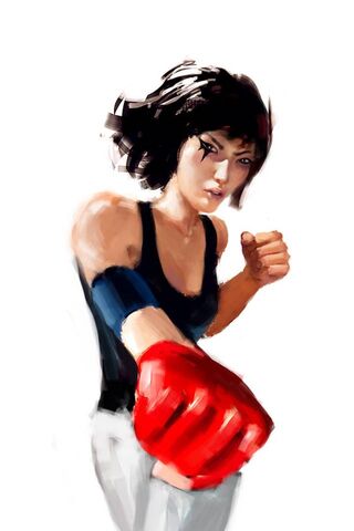 Fist of the Future: Mirror's Edge Champion 🥊✨