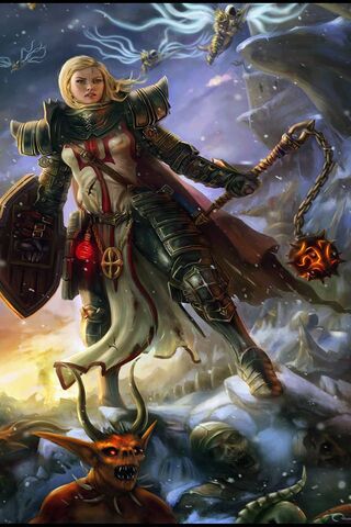 Guardian of the Light: The Crusader's Valor ✨⚔️