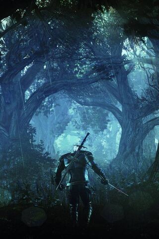 Into the Mystic Woods: A Witcher's Journey 🌲⚔️