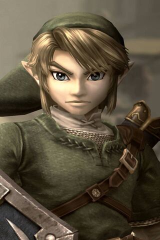 The Hero of Time: Link'..