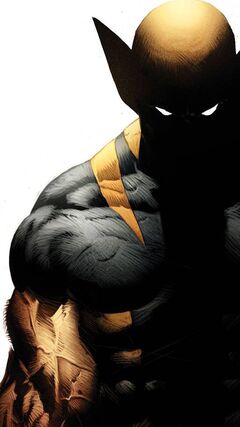 Angry Wolverine Wallpapers - Top Những Hình Ảnh Đẹp