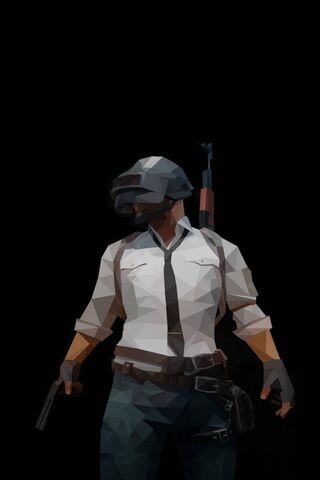 Battle Ready: The Polygonal Warrior of PUBG 🎮⚔️