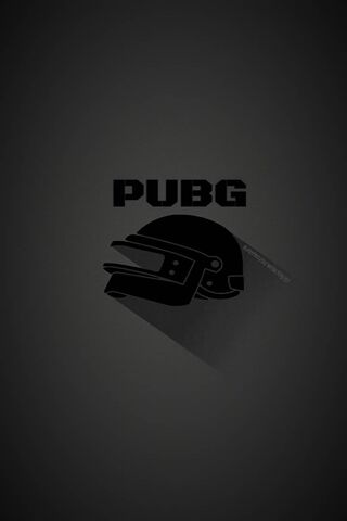 Battle Ready: The PUBG ..