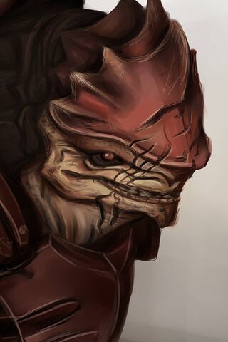 The Fearsome Krogan Warrior