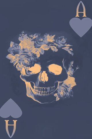 Cranio: The Floral Ace of Death 🌹💀