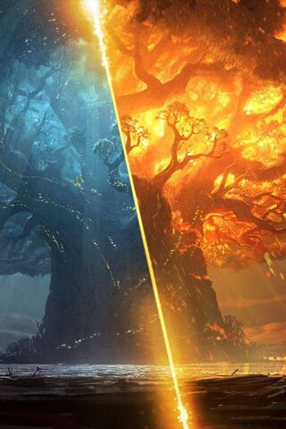 The Duality of Azeroth: Light vs. Shadow 🌌✨