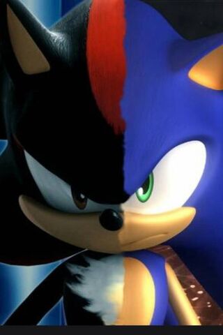 Sombra y Sonic