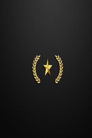 Climbing the Ranks: The Glory of CS:GO