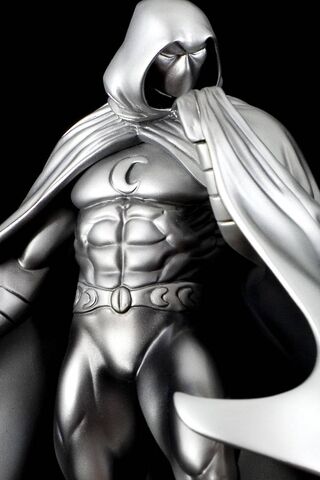 The Silver Sentinel: A Gamer's Guardian