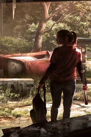 Survivor's Solitude 🌿🚗