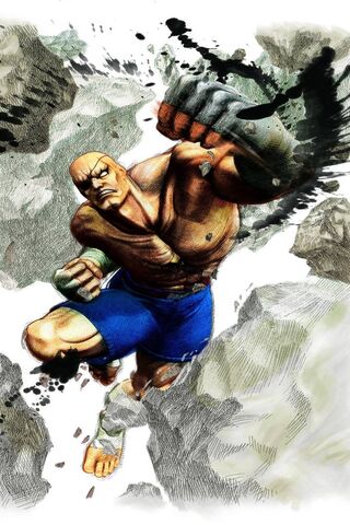Sagat: The Titan of Street Fighter 🥋💥
