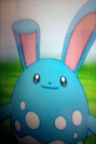 Pokemon Azumarill