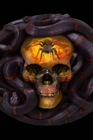 Snake and Skull