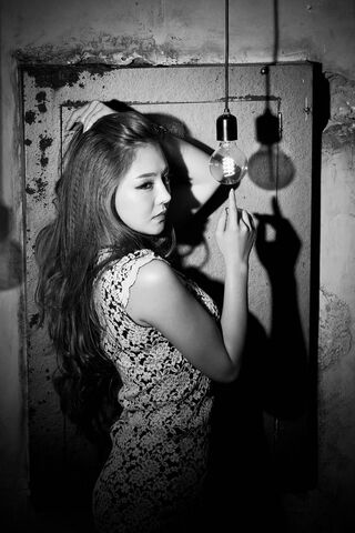 Illuminated Elegance