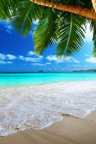 Solig Strand: A Tropical Paradise Awaits! 🌴🌊