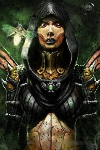Shadow of the Kombatants: Rise of the Dark Warrior