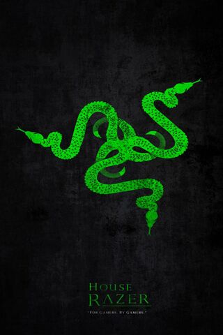 Welcome to the Razer Realm: A Gamer's Paradise 🎮🐍