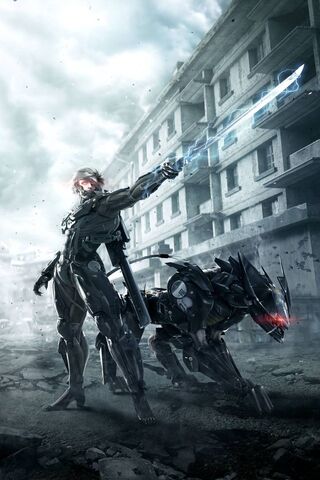 Raiden: The Cybernetic ..