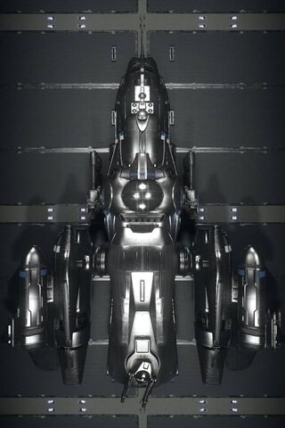 The Vanguard of the Stars: A Star Citizen Ship