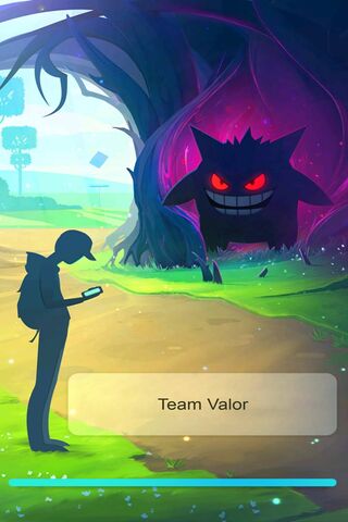 Team Valor's Epic Encounter! 🔥
