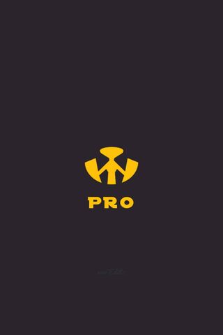 Professional
