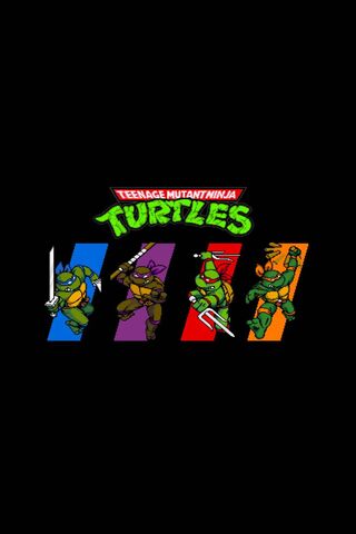 Turtles In Time
