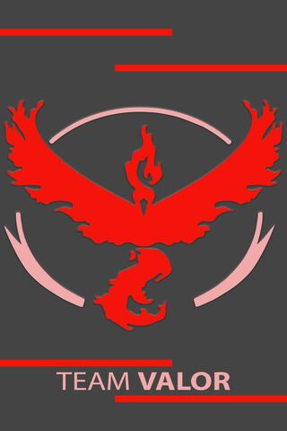 Ignite Your Spirit with Team Valor! 🔥