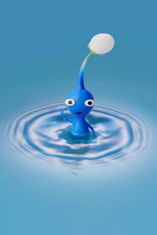 Splashing into Adventur..