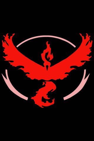 Team Valor