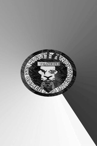 Unleashing the Power of Team Ele! 🎮⚡