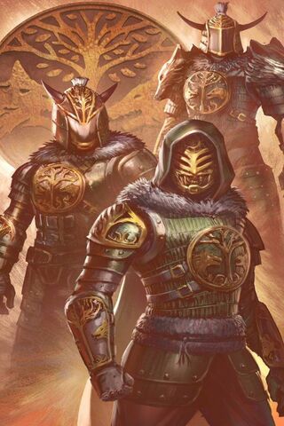 Guardians of the Iron Banner: A Call to Battle! ⚔️