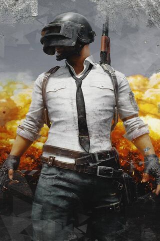 Battle Ready: The PUBG ..