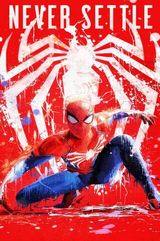 Web of Determination: Never Settle!