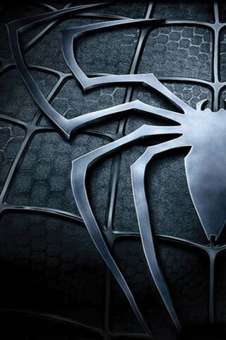 The Web of Heroes 🕷️✨