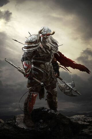 Warrior of Tamriel: The Legend of Skyrim ⚔️🛡️