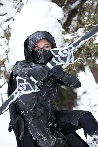 Shadow of the Frost: Ruisenora's Vigil